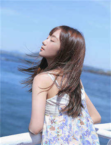 乘龙怪婿4